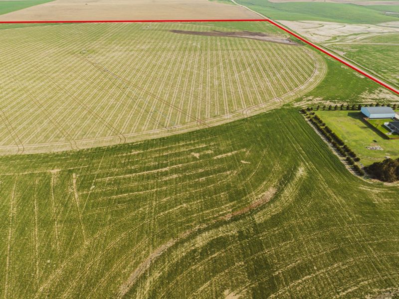 Sheridan County Irrigation : Selden : Sheridan County : Kansas