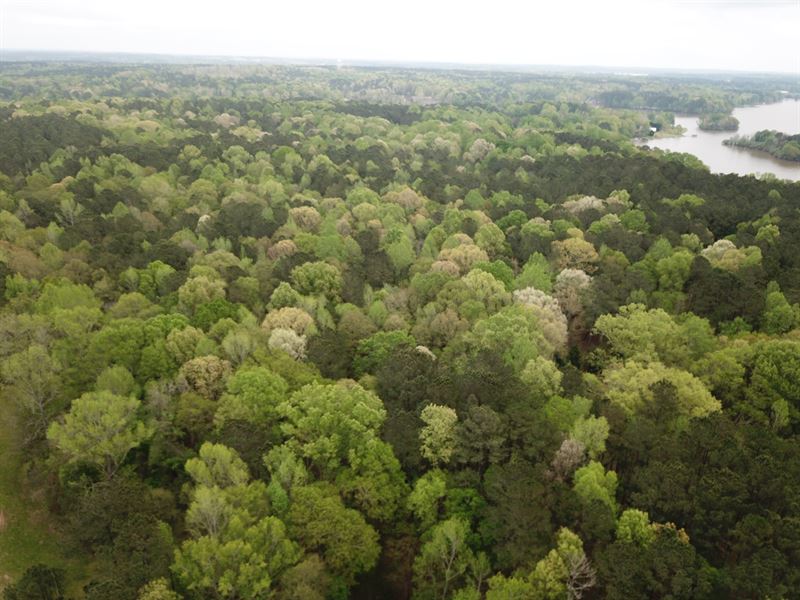3 Gorgeous Farms in Morgan County : Madison : Morgan County : Georgia
