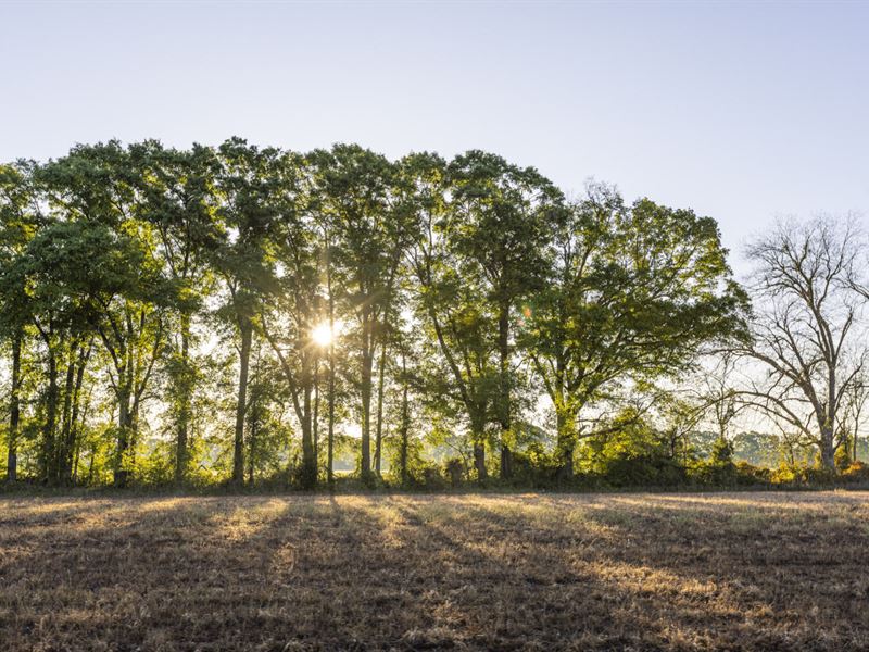 Excel Repton Row Crop Farm Road : Excel : Monroe County : Alabama