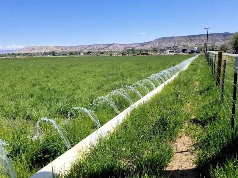 Montrose Colorado Ag/Development PA : Montrose : Montrose County : Colorado