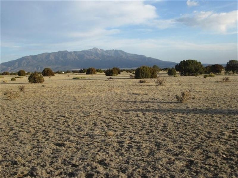 25 & 52 Twin Lakes Ranches, Wal : Walsenburg : Huerfano County : Colorado