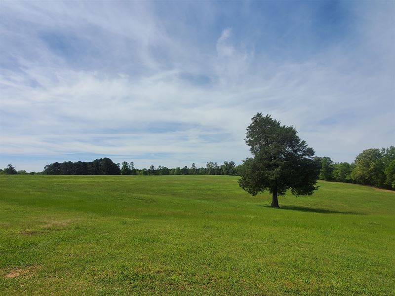 The Menehune Farm : Leesville : Saluda County : South Carolina