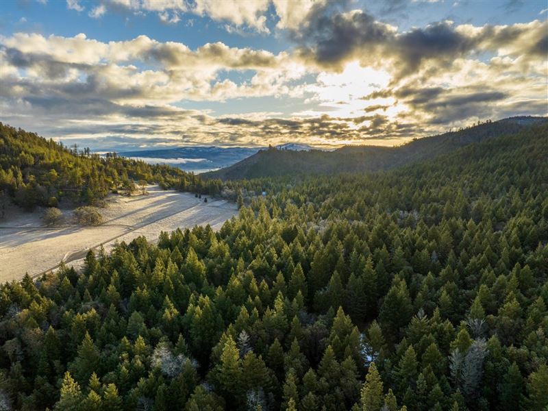 Griffin Lane : Jacksonville : Jackson County : Oregon