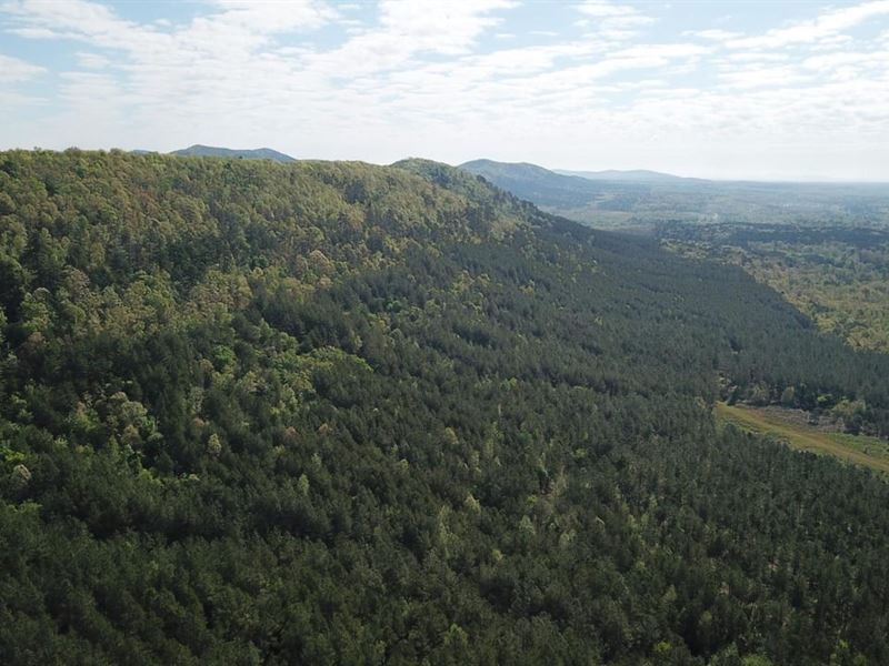 516 Acres Montgomery County Bor : Caddo Gap : Montgomery County : Arkansas