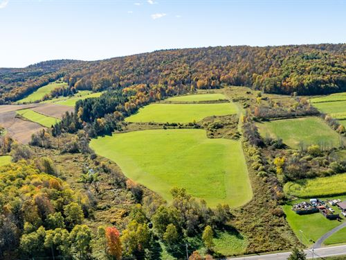 Mix of Land Backed by State Forest : Cuyler : Cortland County : New York