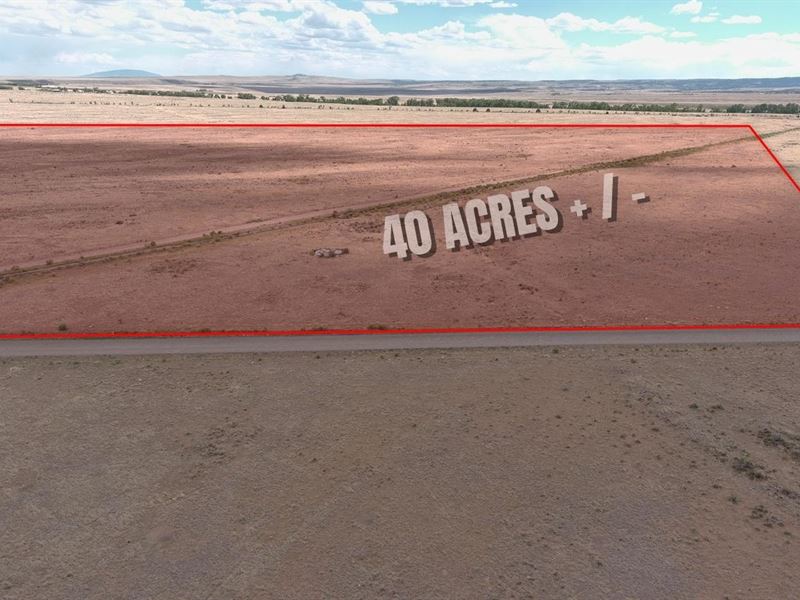 40 Ac in Co, Road Frontage : Capulin : Conejos County : Colorado