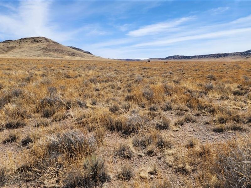 21547 County Road F, Antonito, Co 8 : Antonito : Conejos County : Colorado
