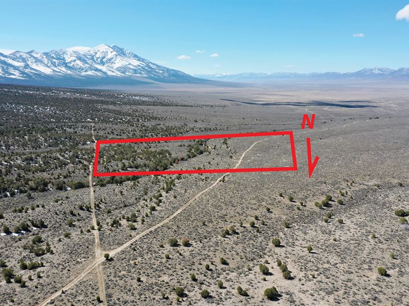 Road Access, Mountains, Trees 20 AC : West Wendover : Elko County : Nevada