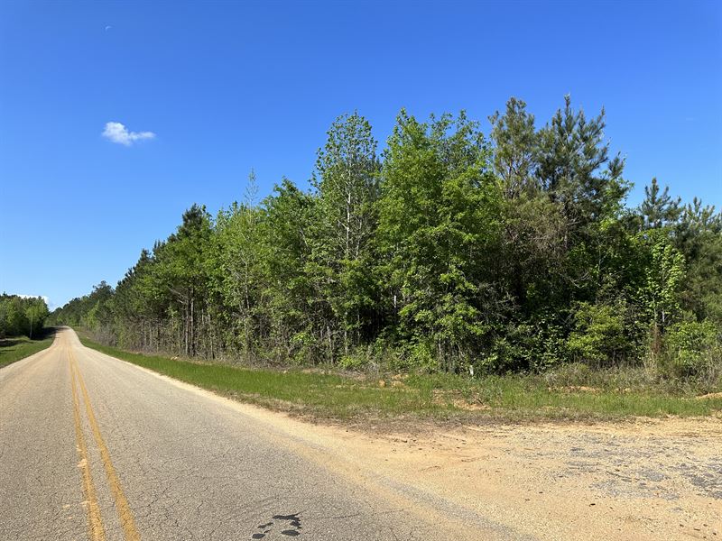 Halso Mill Road Lot 1 : Greenville : Butler County : Alabama