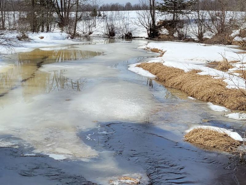 Jump River Parcel, Ranch for Sale in Wisconsin, 347524 RANCHFLIP