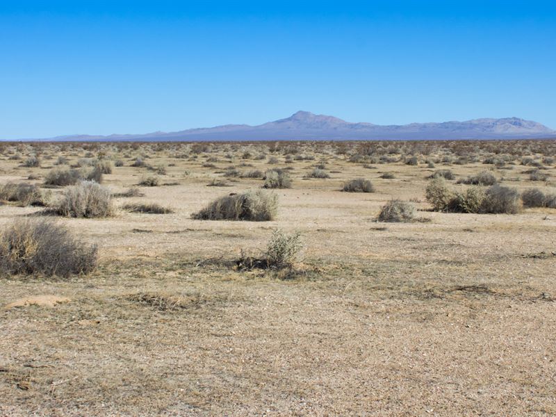Locked-N-Loaded 40 Acres : Boron : San Bernardino County : California