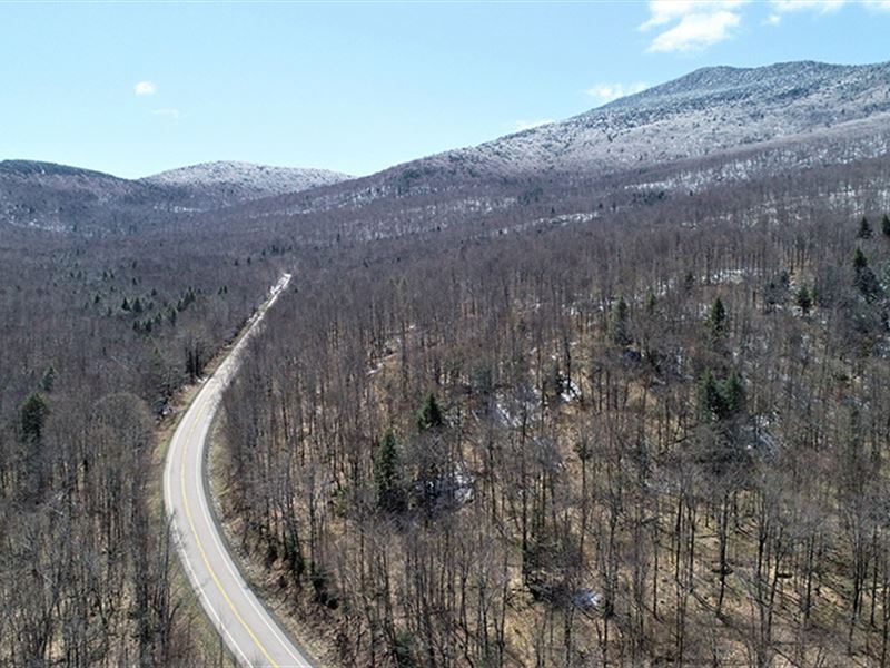 Jay-Richford East Forest : Jay : Orleans County : Vermont