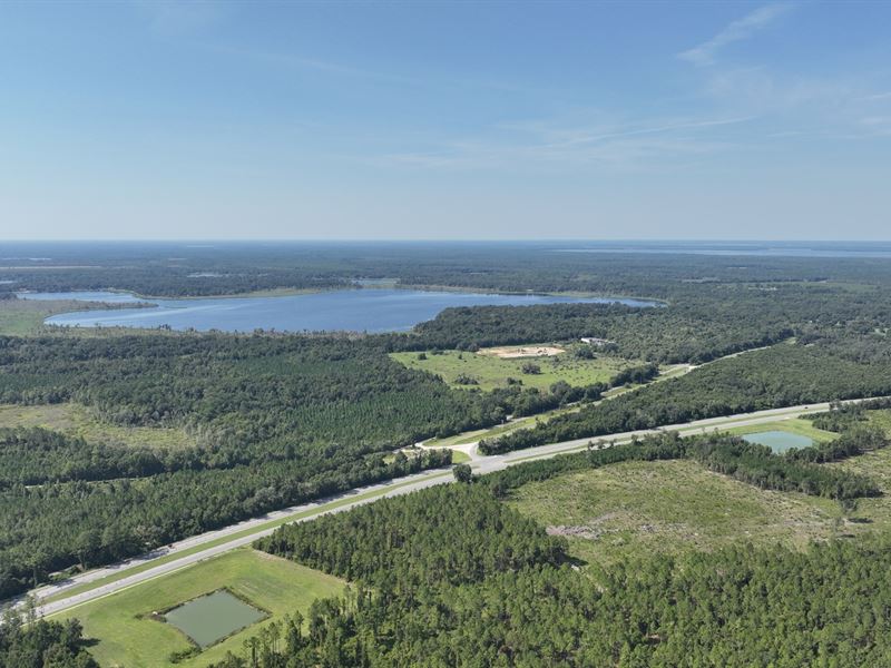 Gordon Chapel North Tract : Hawthorne : Putnam County : Florida