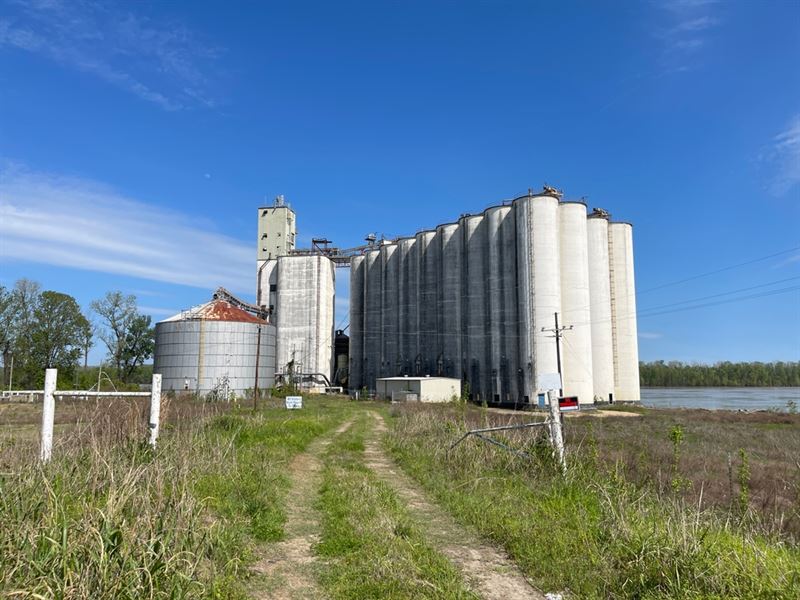 La, Tensas 224 Acres : Saint Joseph : Tensas Parish : Louisiana