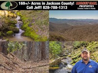 169 Acres, Waterfall Tract Bord : Sylva : Jackson County : North Carolina