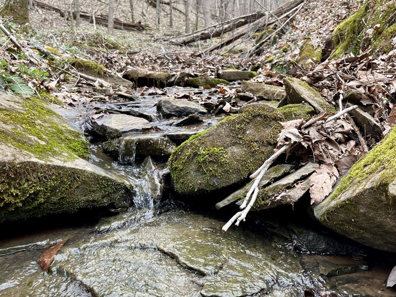 Ohio Hunting Land and More : Belpre : Washington County : Ohio