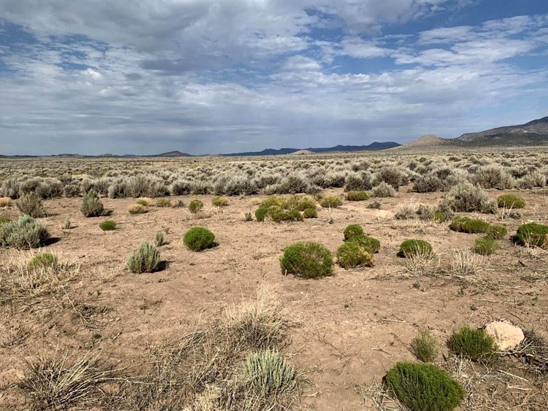 Untouched Off The Grid 20 ac : Beryl Junction : Iron County : Utah