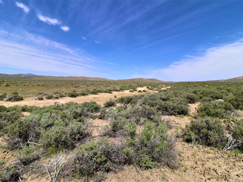 40 Acres of Off-Grid Haven : Battle Mountain : Humboldt County : Nevada