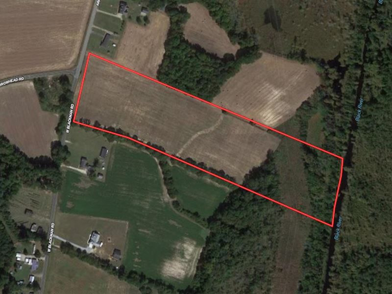 19 Acres of Agric : Dunn : Harnett County : North Carolina