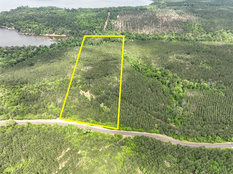31 Acres, T-3 CR 2145 : Wheeler Springs : Houston County : Texas