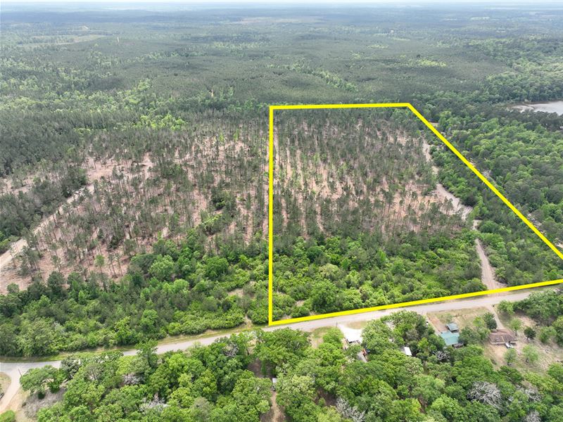 31 Acres, T-17 CR 2140 : Wheeler Springs : Houston County : Texas
