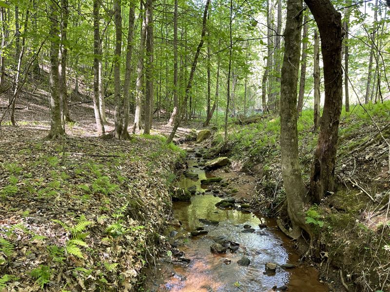 41 Acres, Hall County, GA : Lula : Hall County : Georgia
