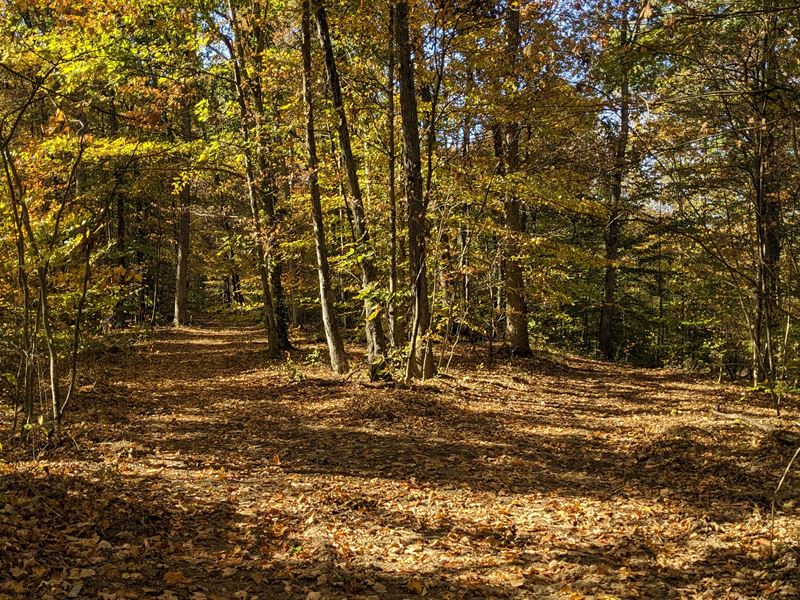Adjoins Wayne National Forest : New Plymouth : Hocking County : Ohio