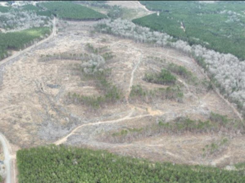 Highway 127 Tract A, Lasalle Parish : Nebo : La Salle Parish : Louisiana