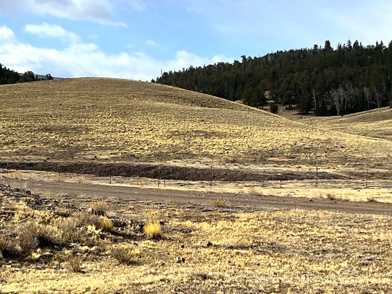Corner Lot, RV Friendly : Hartsel : Park County : Colorado