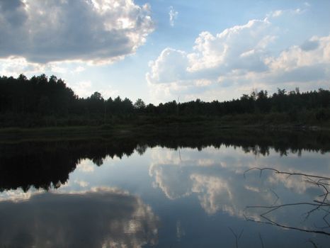 Wiggins Tract 137+/- Acres : Millen : Jenkins County : Georgia