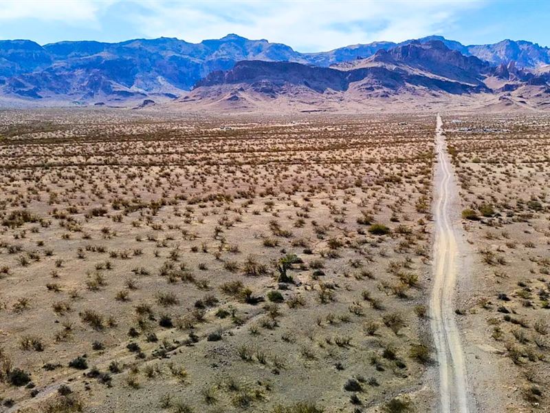 Corner Lot with Mountain Views : Golden Valley : Mohave County : Arizona