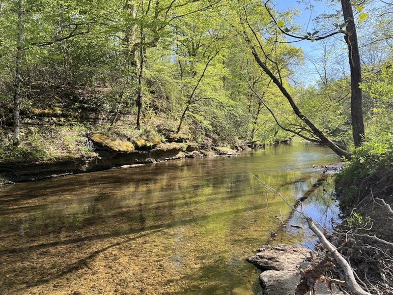Chisolm Creek : Lawrenceburg : Lawrence County : Tennessee