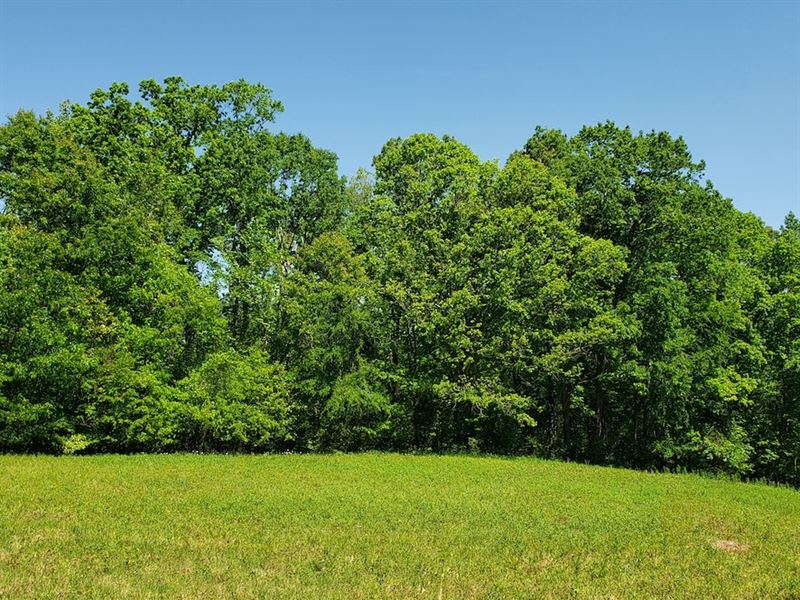 Howard Tract : Salisbury : Rowan County : North Carolina