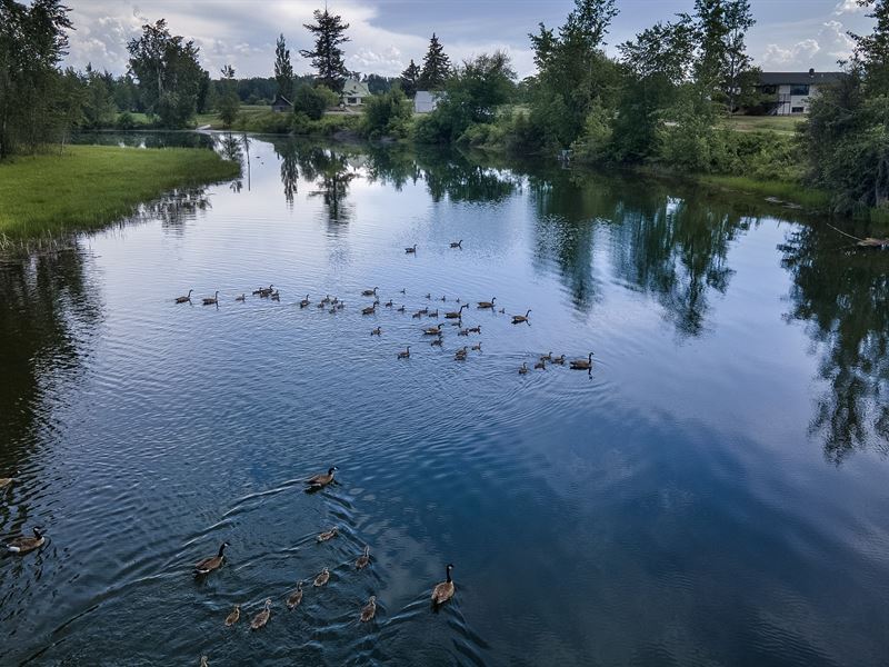 Half Moon Slough : Kalispell : Flathead County : Montana