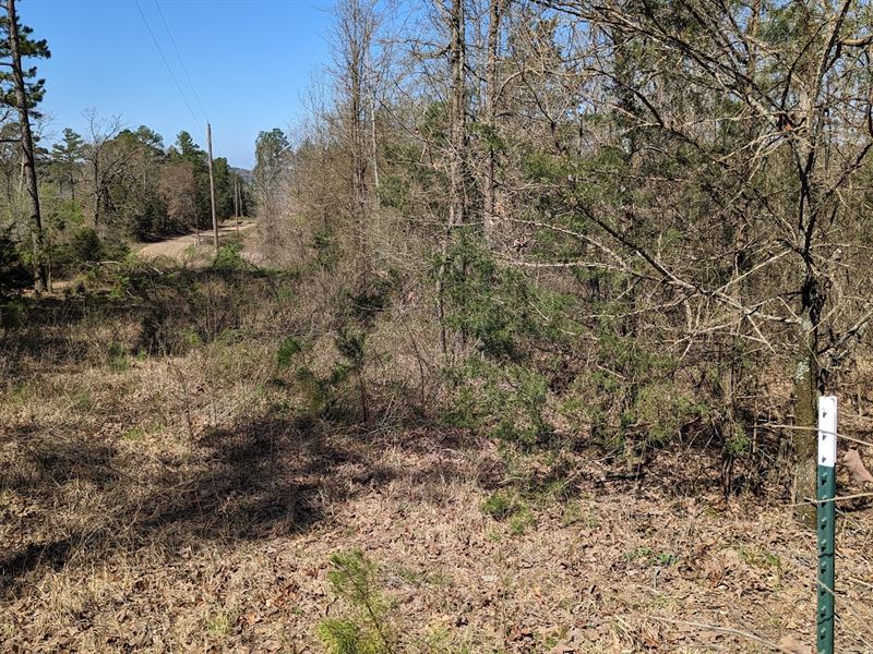 16.15 Acre Lot : Havana : Yell County : Arkansas
