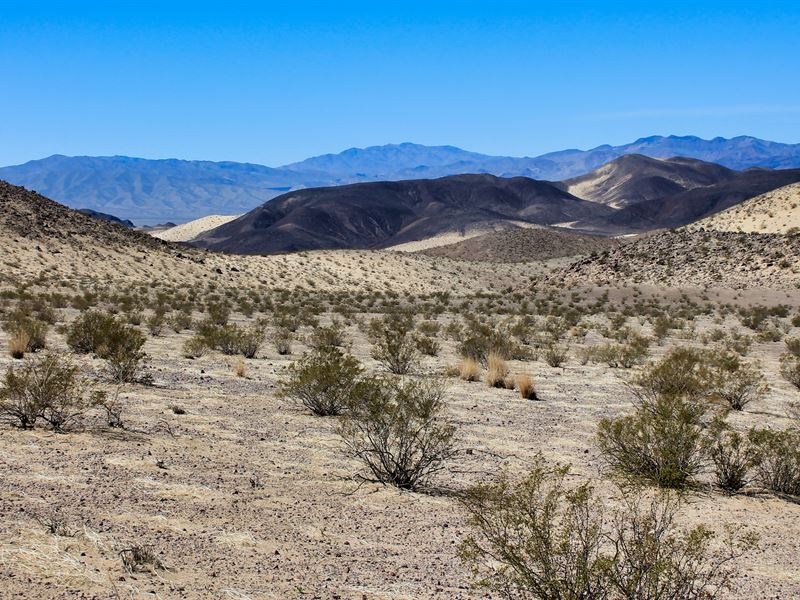 Dad Camp, Mojave Desert : Newberry Springs : San Bernardino County : California