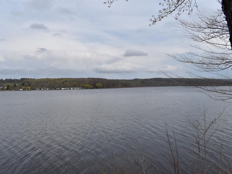 Bear Lake Bonanza : Stockton : Chautauqua County : New York