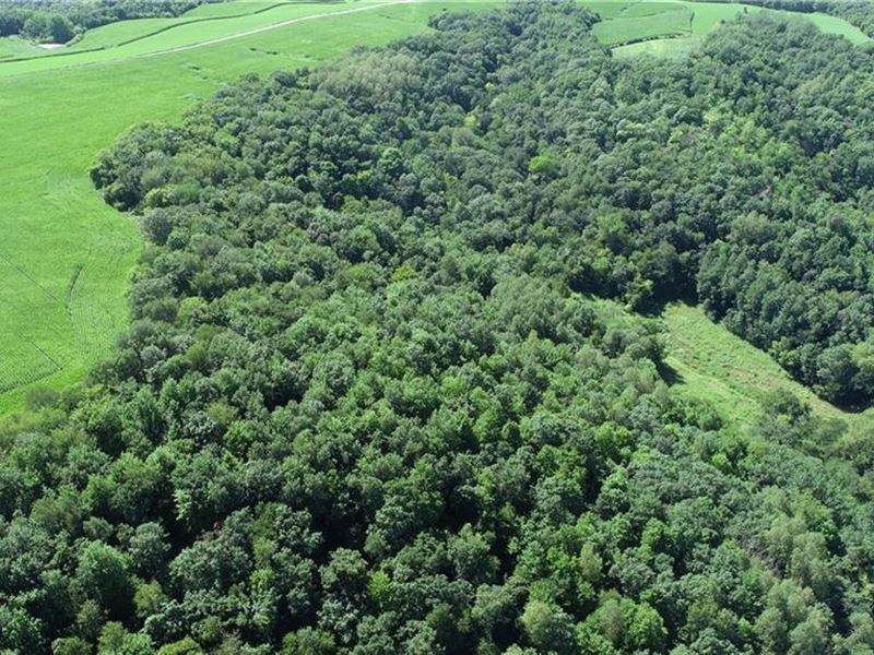16.67 Acres Buffalo County : Nelson : Buffalo County : Wisconsin