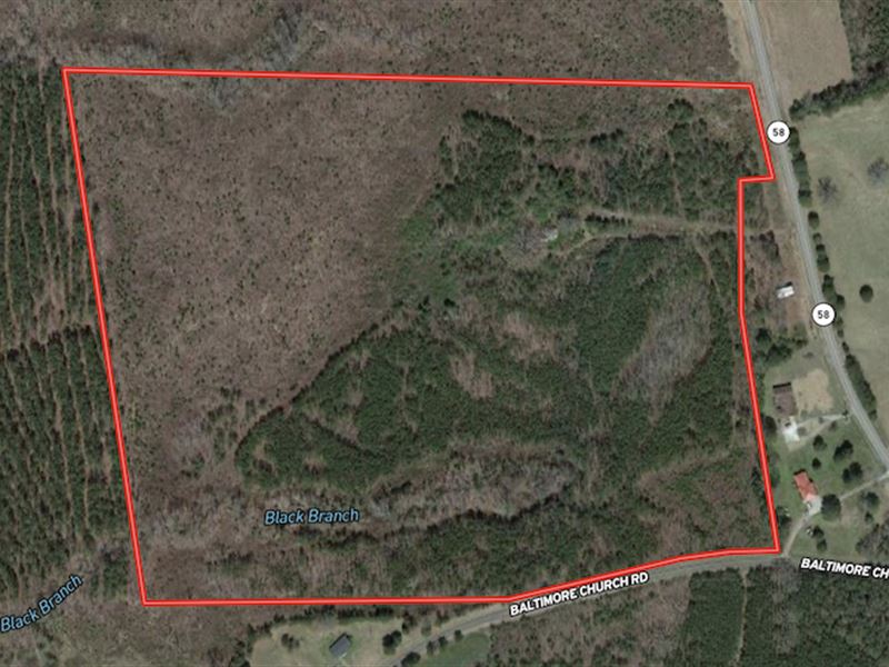 58.84 Acres of Re : Warrenton : Warren County : North Carolina