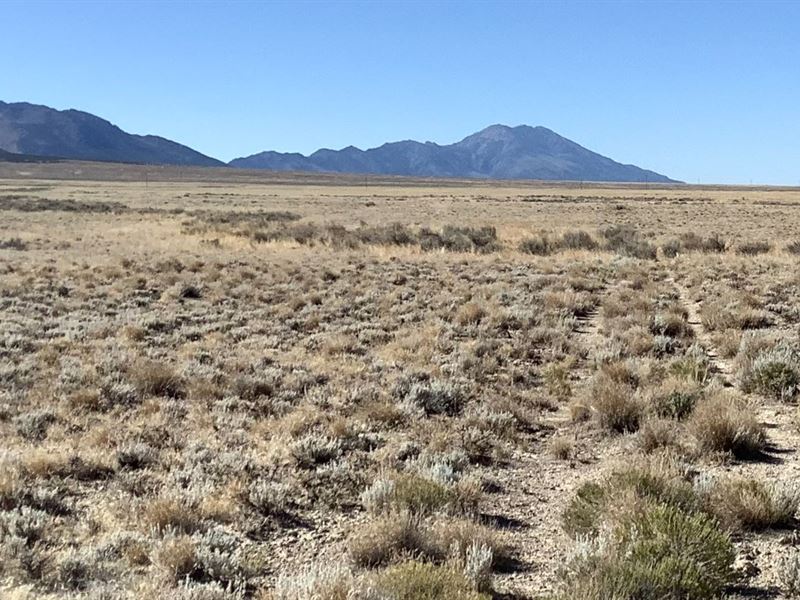 Private Mountain Getaway Awaits : Montello : Elko County : Nevada