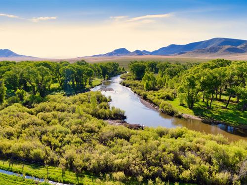Riverfront Farm & Ranch, 6 Bed Home : Manassa : Conejos County : Colorado