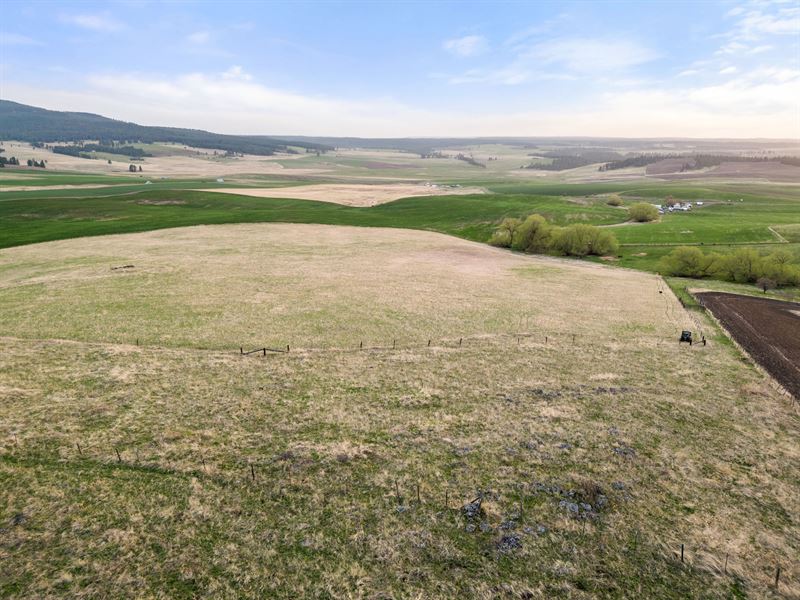 Kirby Place 79 Acres : Cottonwood : Idaho County : Idaho