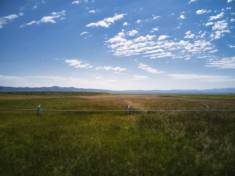 Flowing Wells Aka Chicken Ranch : Wells : Elko County : Nevada