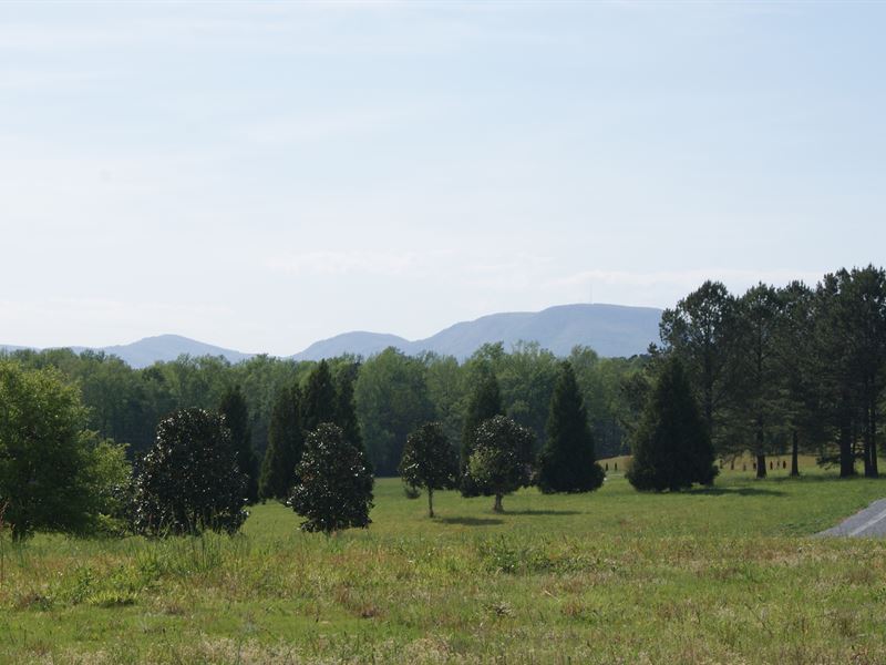 10 Acre Estate Tract in Campobello : Campobello : Spartanburg County : South Carolina