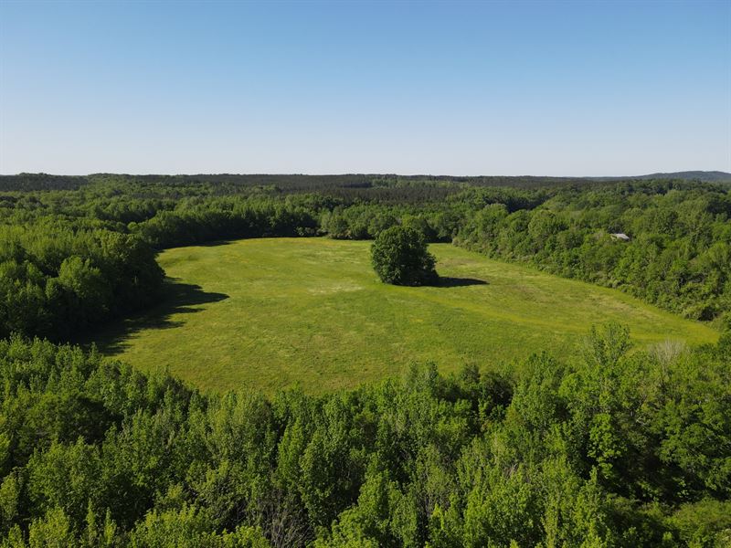 Abanda River Bottoms 84 Acres : Wadley : Chambers County : Alabama