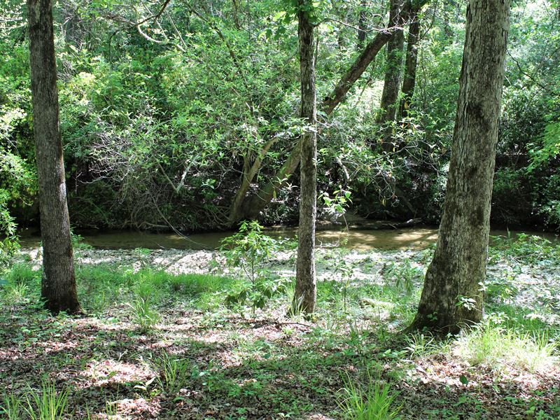 Peaceful Land with Pond and Creek : Notasulga : Macon County : Alabama