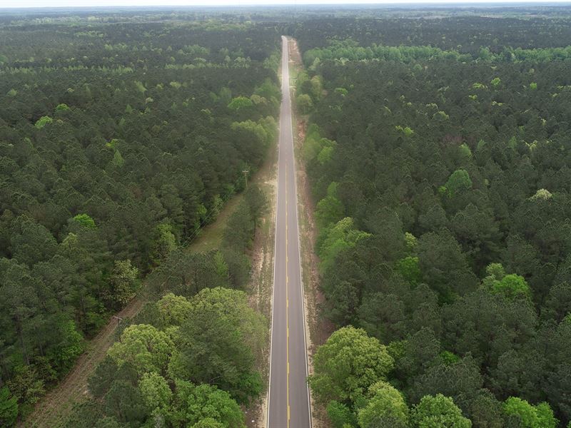 Great Location & Timber Investment : New Site : Prentiss County : Mississippi