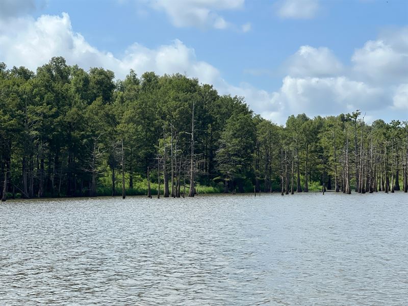 Ms, Wilkinson 135 Acres : Fort Adams : Wilkinson County : Mississippi