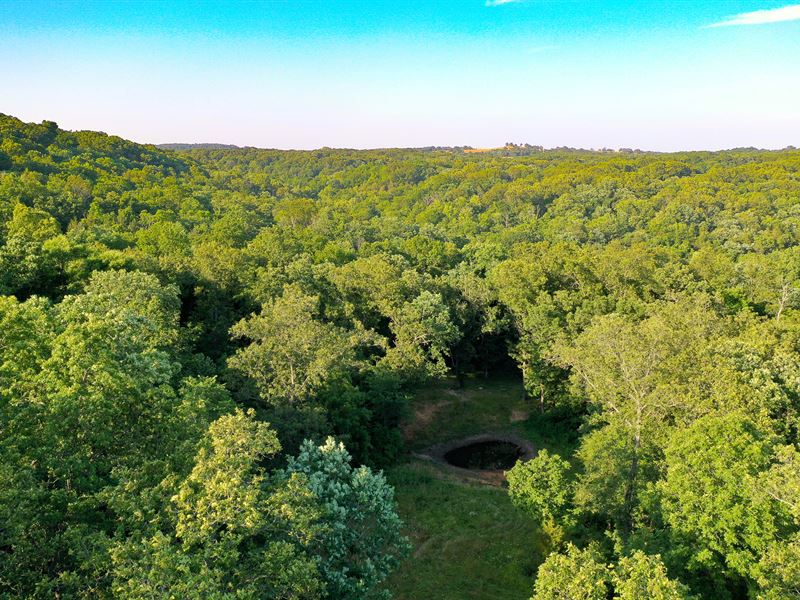 Timber Trails : Seligman : Barry County : Missouri