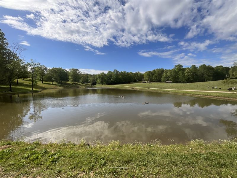 Bunt Farm 98 Acres, Home : Lincoln : Talladega County : Alabama